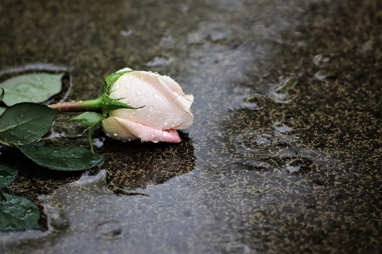 대화 기억을 기반으로 관계를 정리하는 고령층의 생활 구조