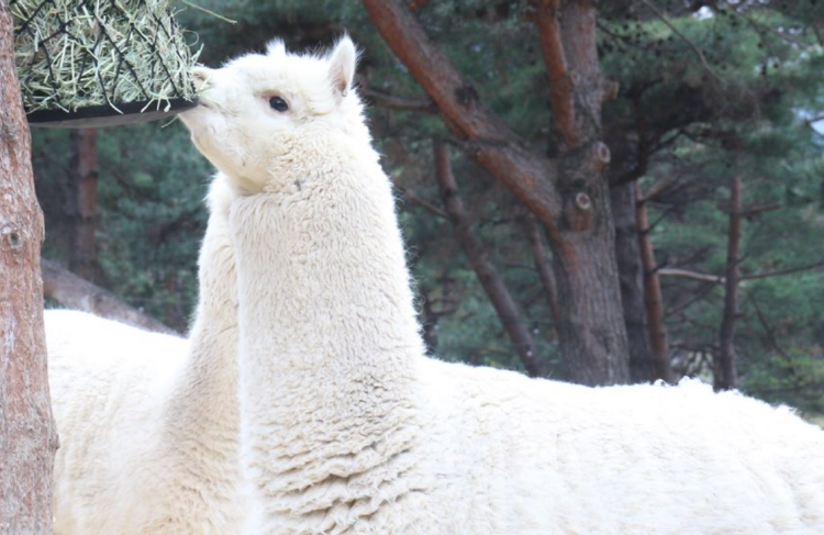 대구 네이처파크