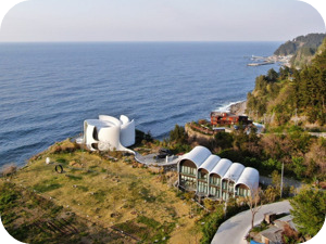 코스모스울릉도숙소사진