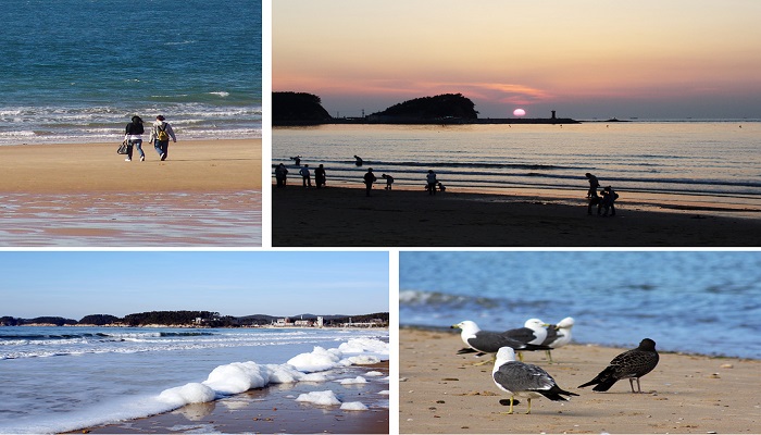 만리포 해수욕장 바로가기