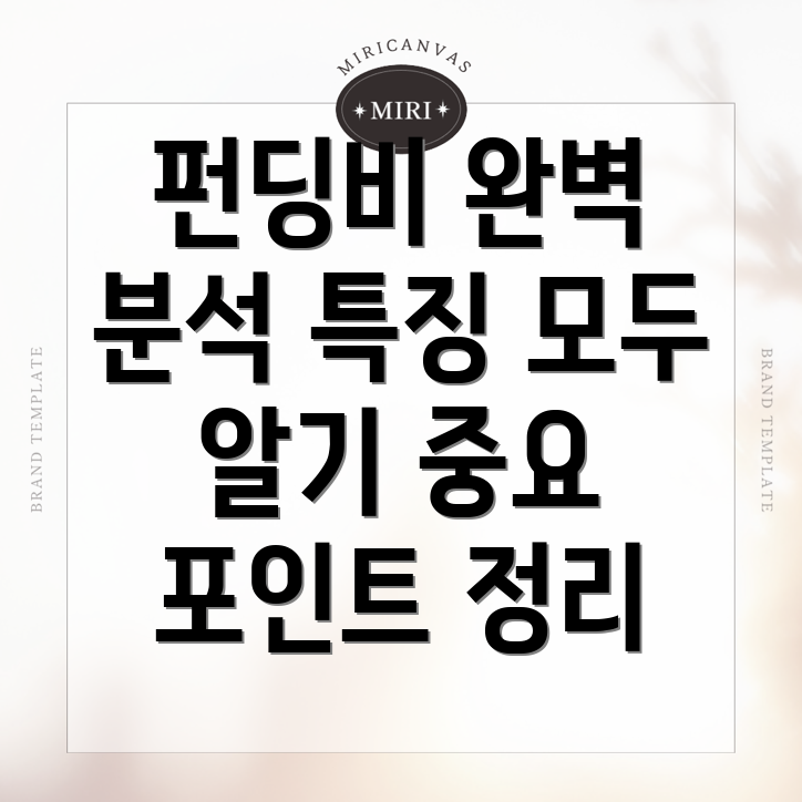 펀딩비