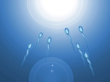 정자 건강 중요