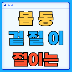 봄동겉절이