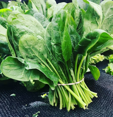 시금치 효능 부작용 고르는법 칼로리