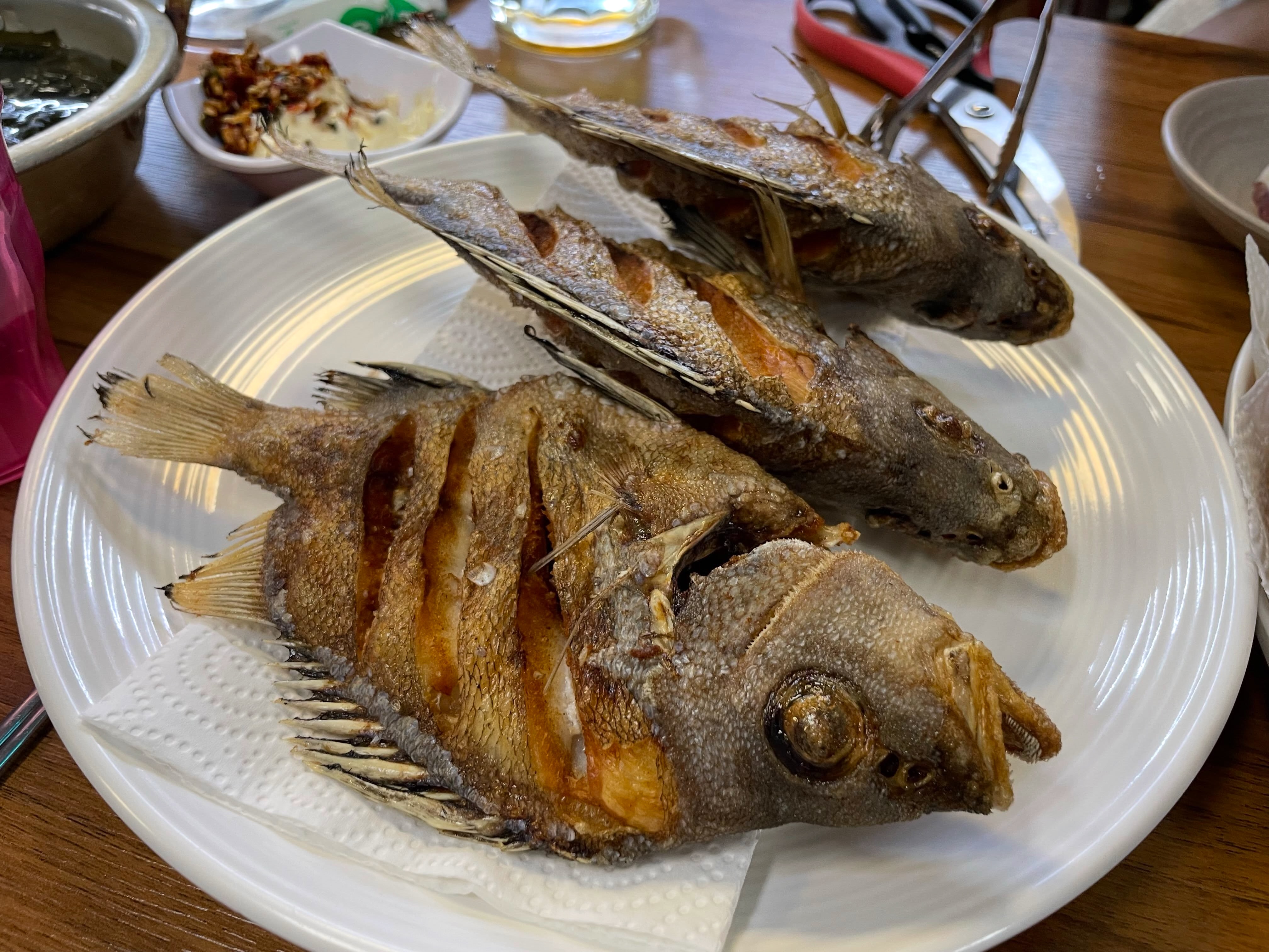 [오늘N 맛집] 5월 27일 신당동 옥경이네 건생선 &amp; 해남 자연과사람들 민박 카페 위치 관련사진