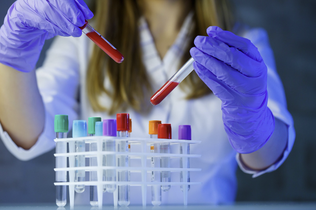 호르몬 성격 테스트