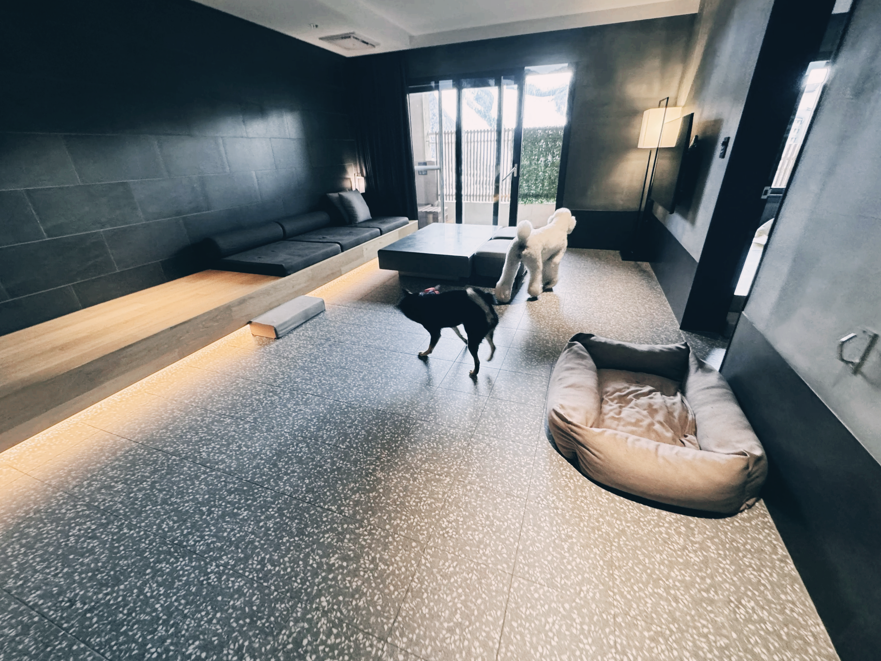 소노펫 비발디파크