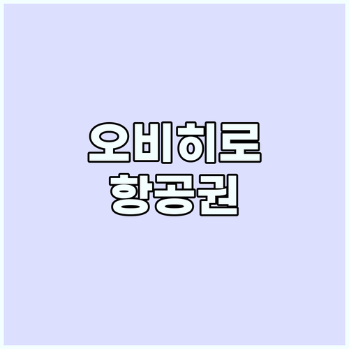 오비히로 항공권 완벽 가이드: 홋카이..