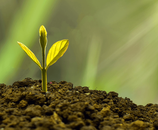 민생회복지원금 25만 원, 누가 받을 수 있고 언제 받나?