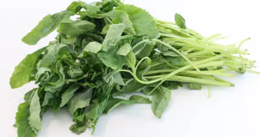 깻잎순볶음