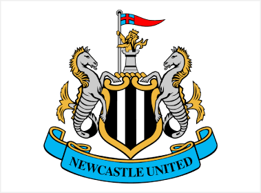 뉴캐슬 로고