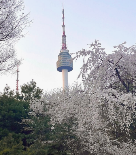 남산공원 & 해방촌