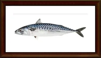 고등어 굽는 방법 비린내 잡기 레시피_9