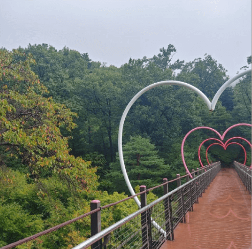 2025년 화담숲 예약