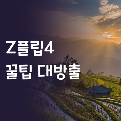 갤럭시 Z플립4 중고 구매? 꿀팁 대..