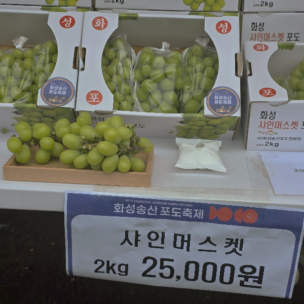 화성송산포도축제에서 판매 중인 샤인머스캣 포도 상자