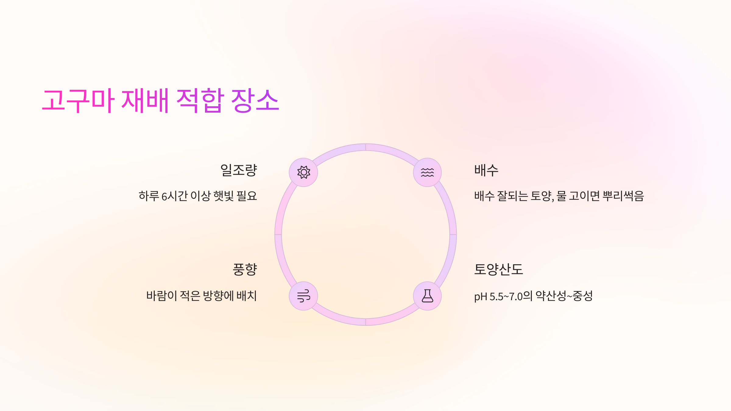 🌞 고구마 재배에 적합한 장소