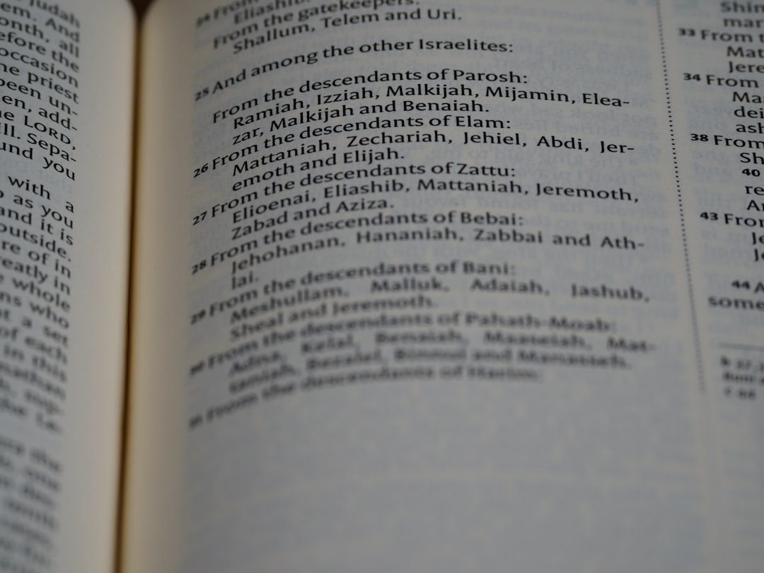 'NISSEI'에서 가장 중요한 명사는 'Nissei'입니다.
