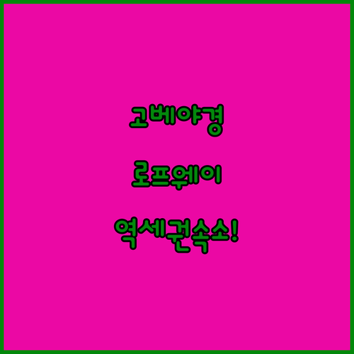 고베 야경 명소 로프웨이 동선과 역세..