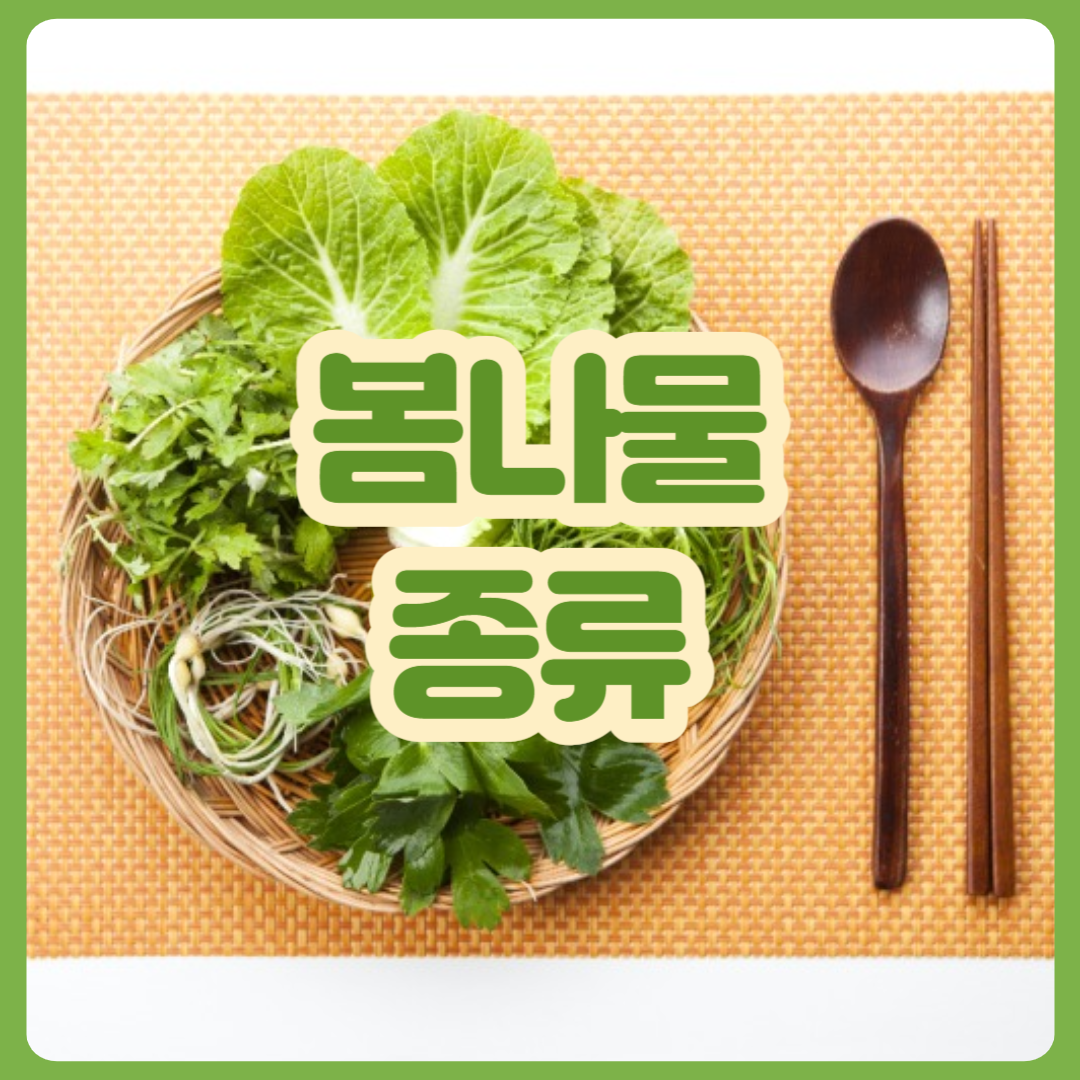 봄나물_종류