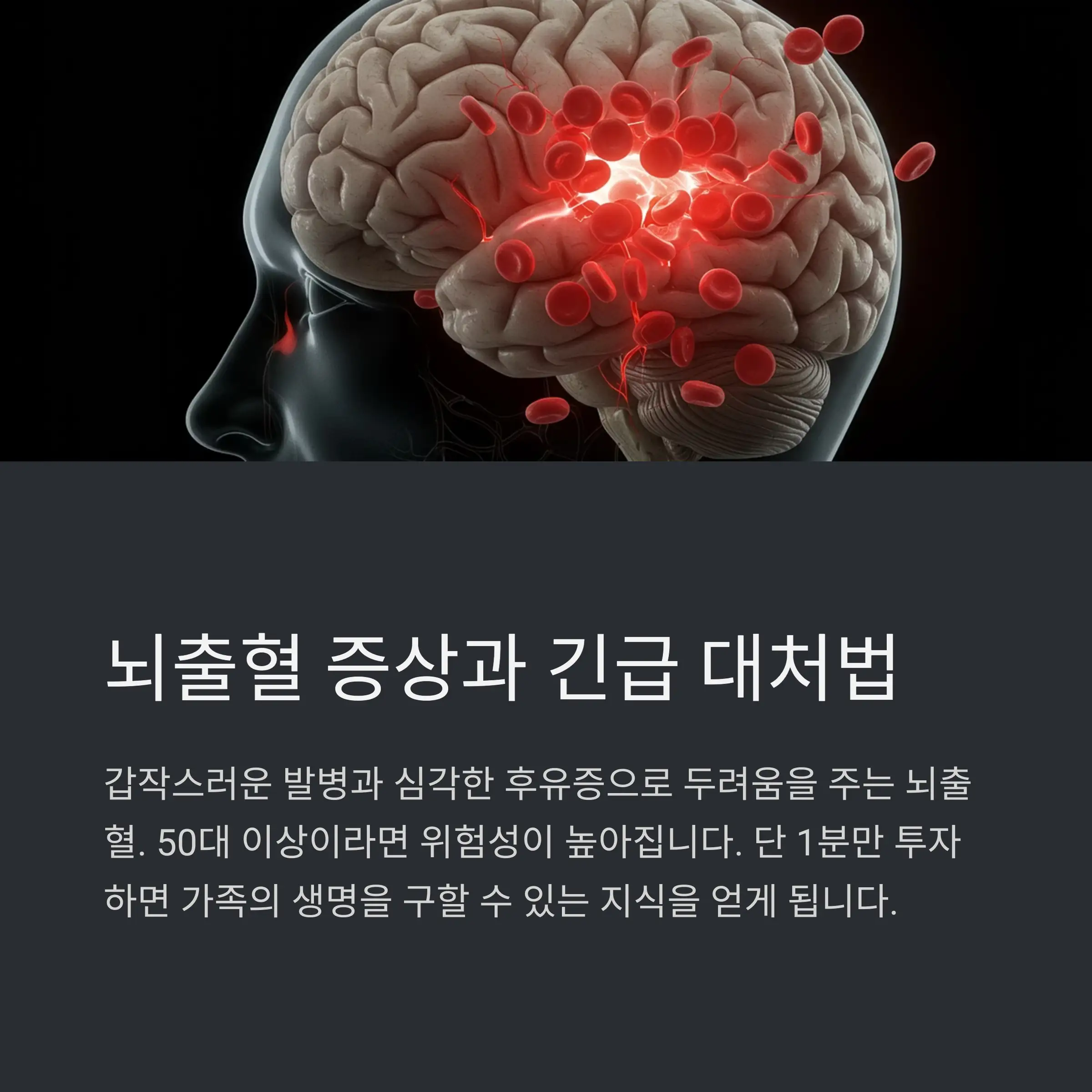 📋 목차