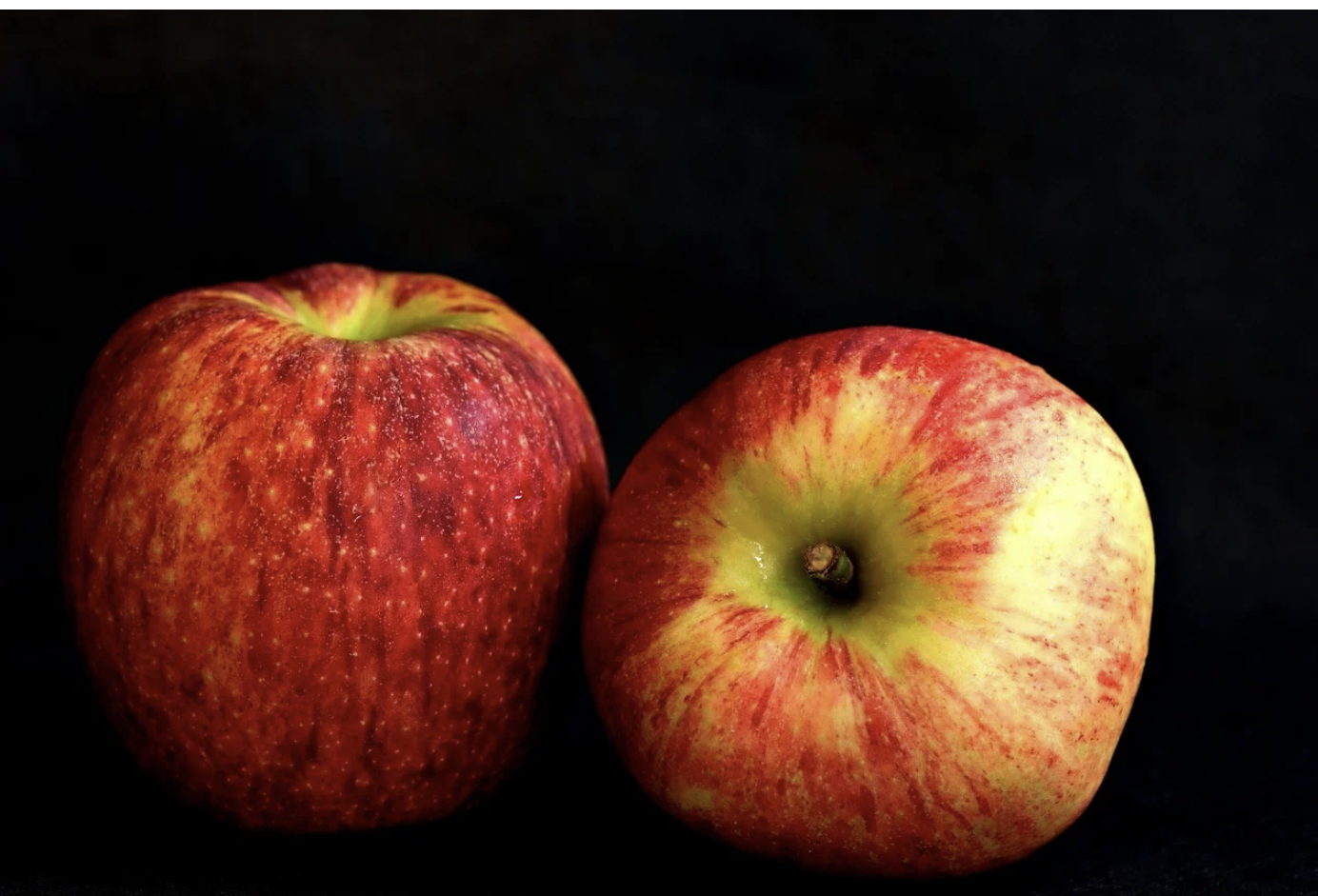 2024 문경 사과축제