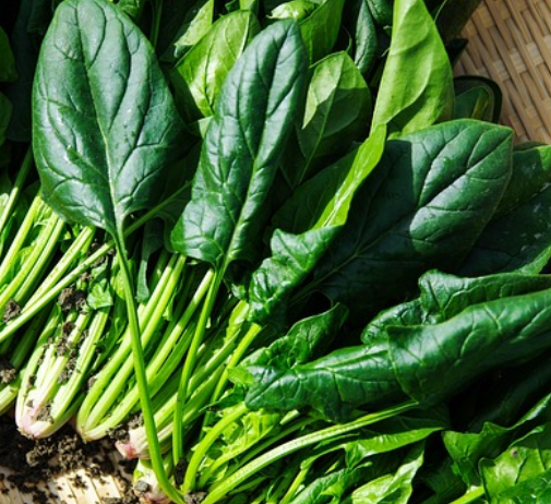 당뇨에 좋은 음식 3