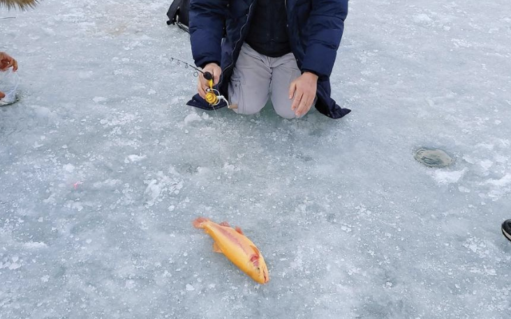 홍천강꽁꽁축제