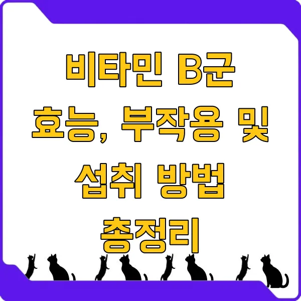 비타민 B군 효능, 부작용 및 섭취 방법 총정리
