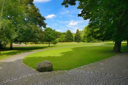 국립자연휴양림 예약통합시스템 총정리