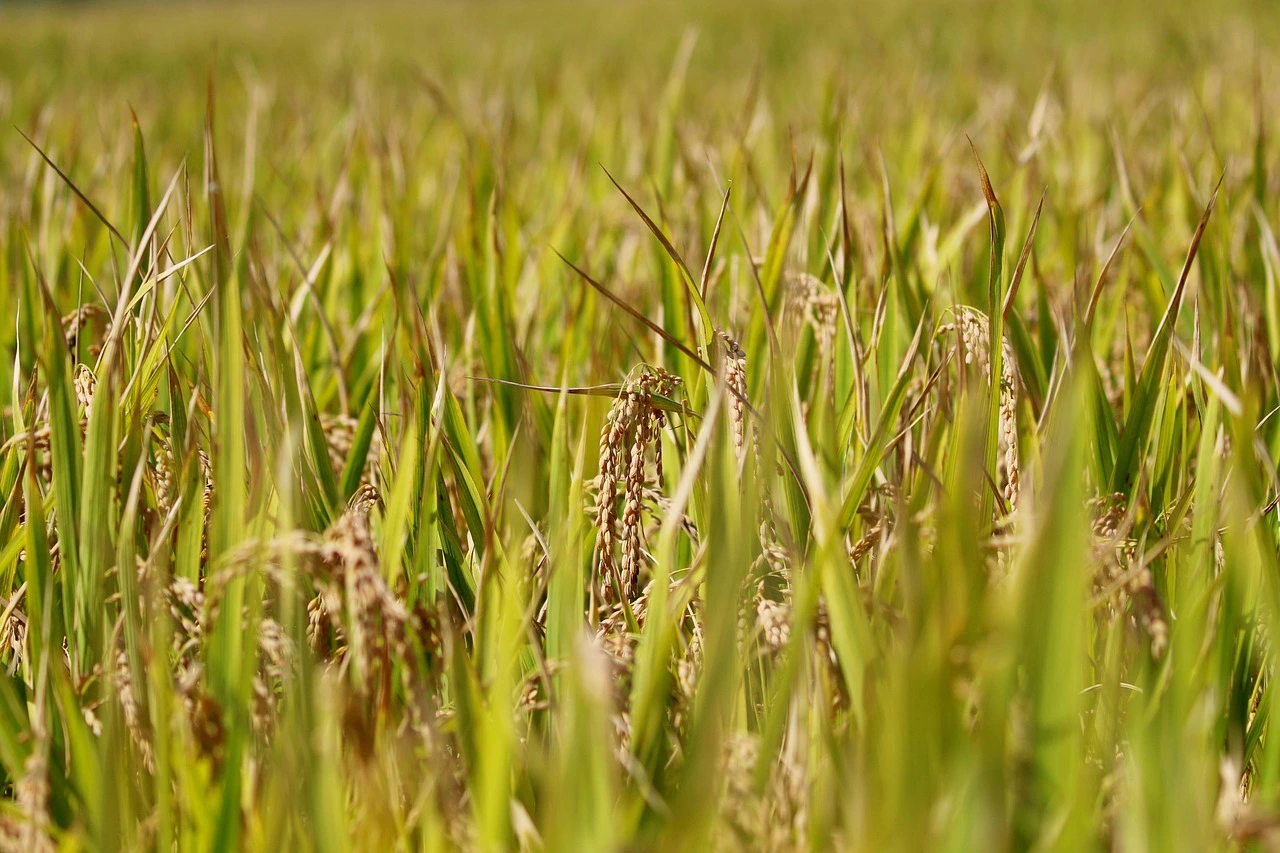 추석 선물세트 추천 인기