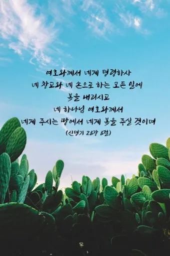 신명기 28장 축복 저주 강해_12