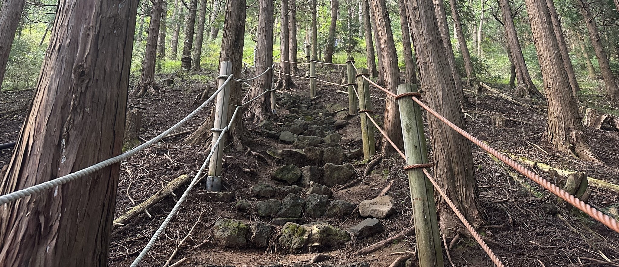 바농오름 산책로