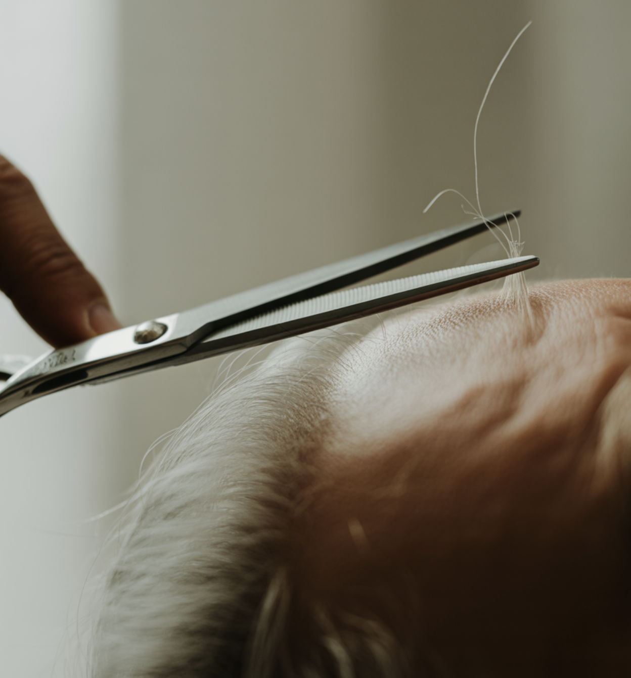 가장 안전하고 현명한 대안, '자르기'