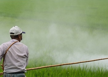 빈대 살충제 농작물 살포