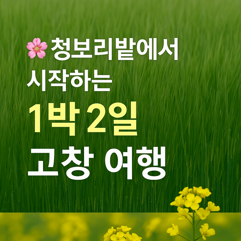 [4월~5월 축제] 고창 1박 2일 감성 여행❘청보리밭 축제, 고창 읍성, 선운사, 구시포해변 승마체험까지