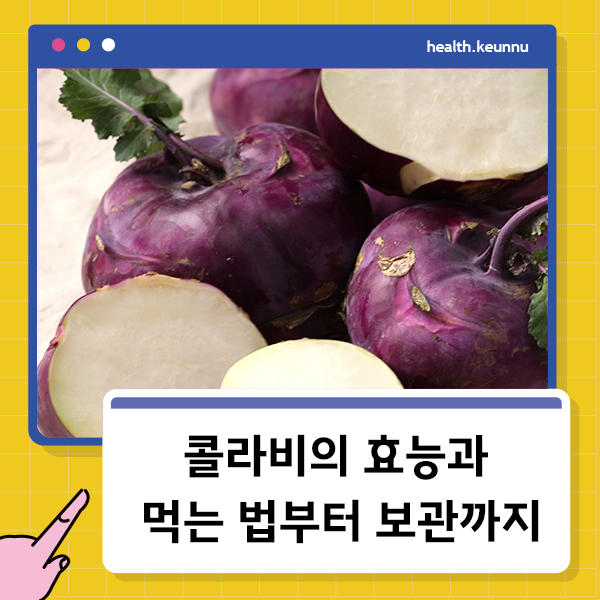 콜라비효능