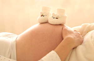 ktx srt 임산부 할인 신청방법