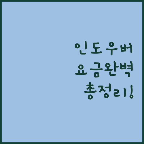 인도 바산트 비하르 숙소에서 공항까지..