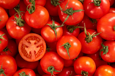 토마토