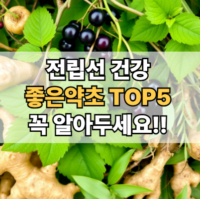 전립선에-좋은-약초-전립선건강