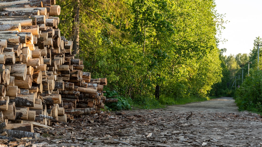 Lumber