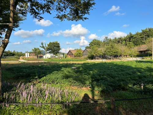 전북 고창 숙박 상하농원 파머스 빌리지 패밀리룸 조식