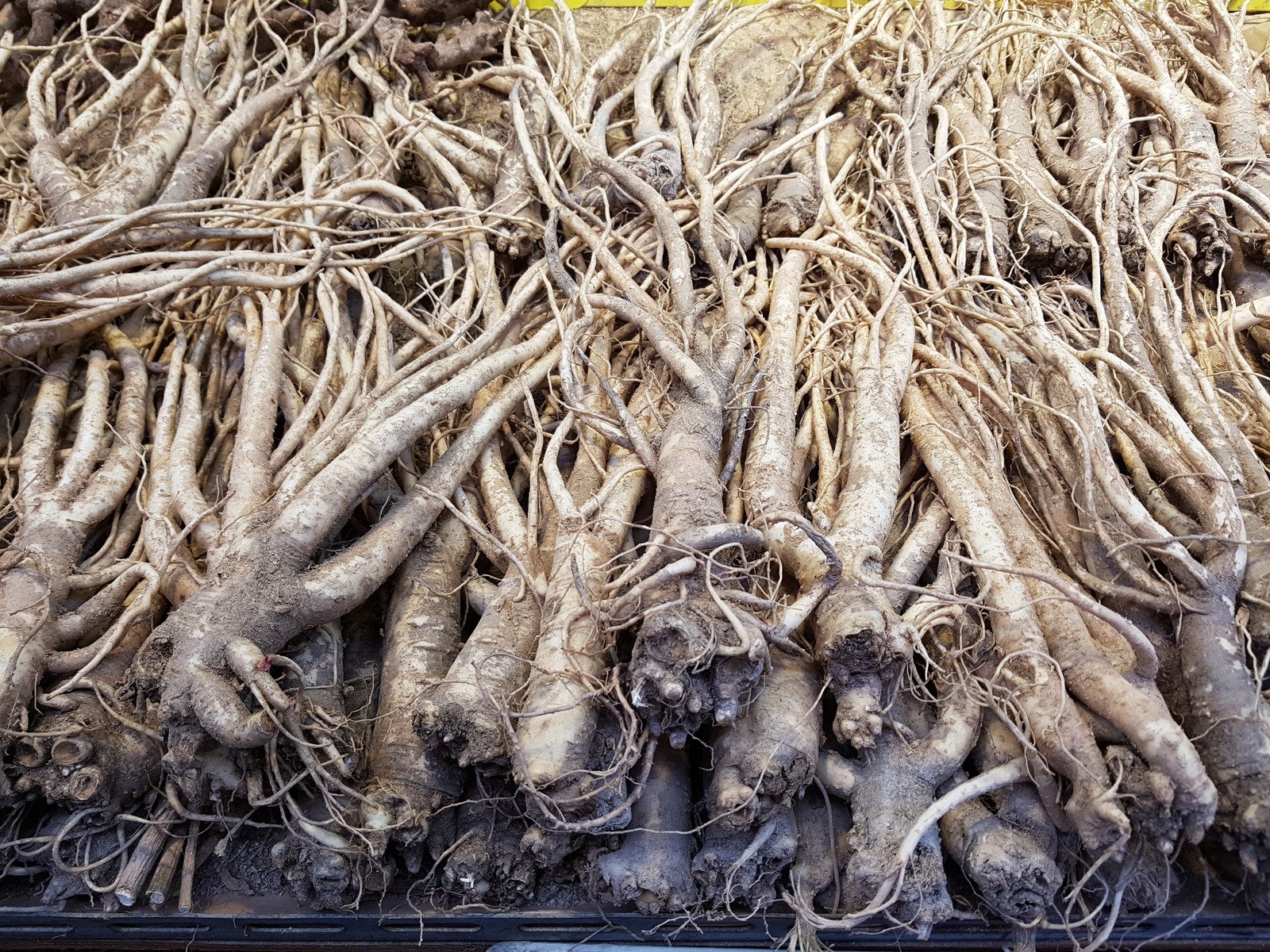 도라지청의 건강효과