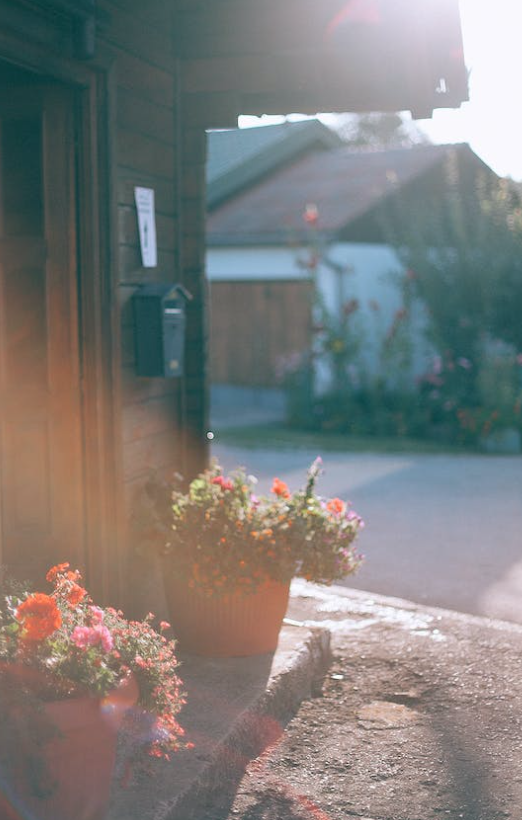 마당 조경 인테리어