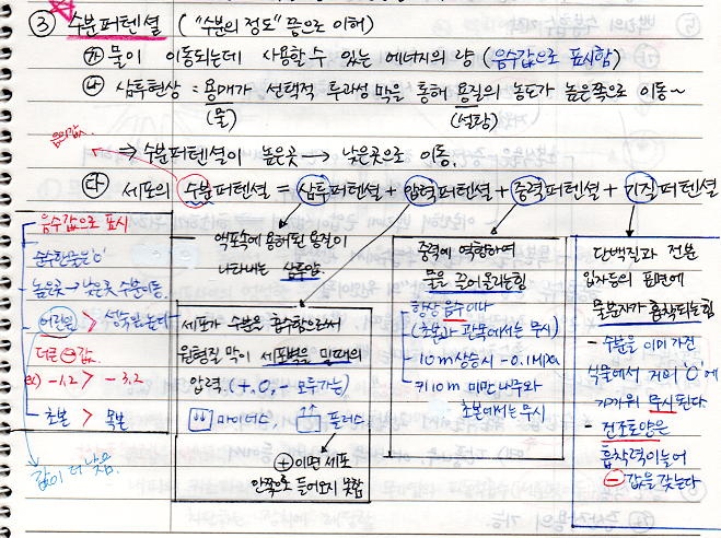 수분퍼텐셜