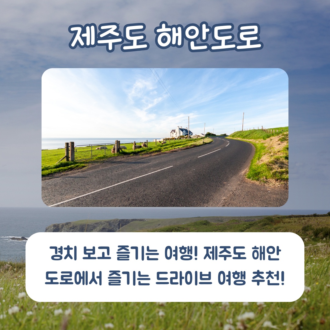국내 여행지 추천