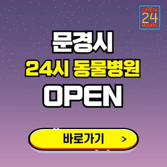 문경시 24시 동물병원 진료하는 곳 ❘ 설날 휴일 야간 심야 문여는곳 찾기 ❘ 응급진료