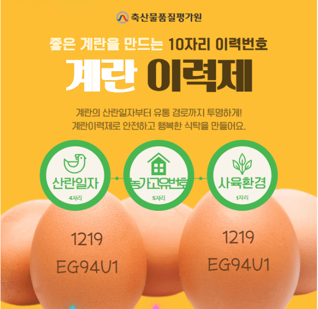 캐시닥 계란이력서 퀴즈 썸네일