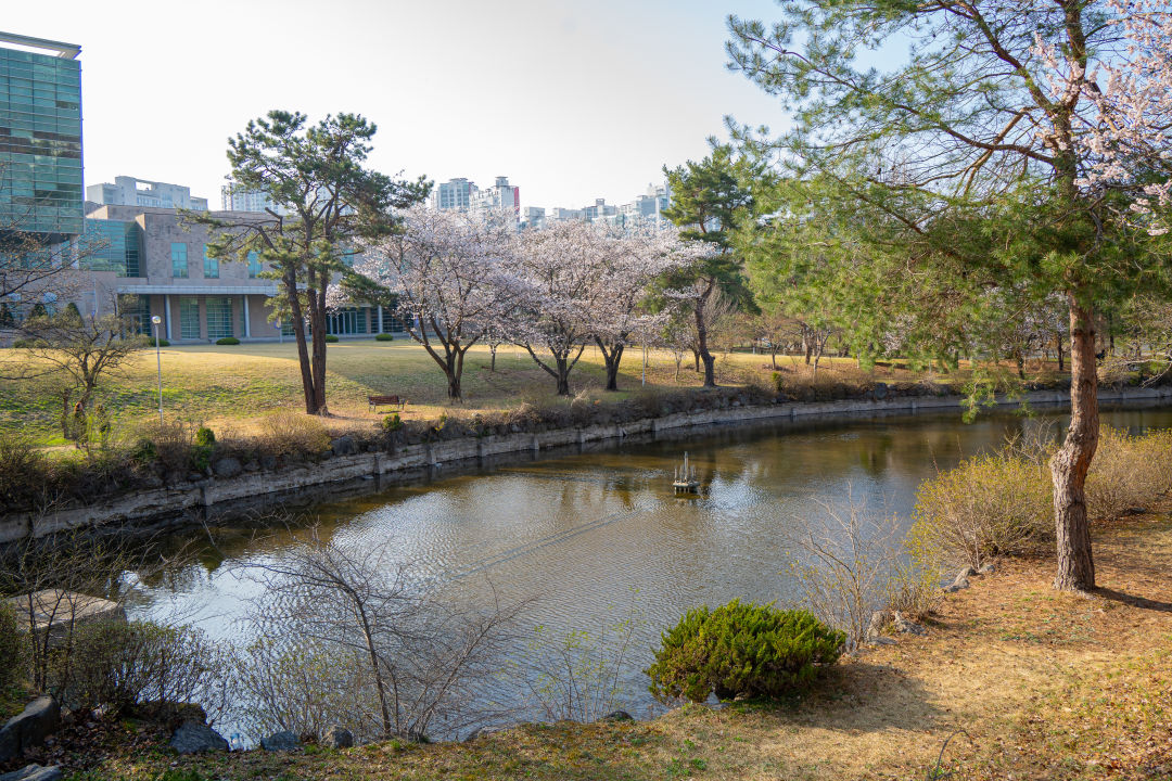 수원대학교 연못